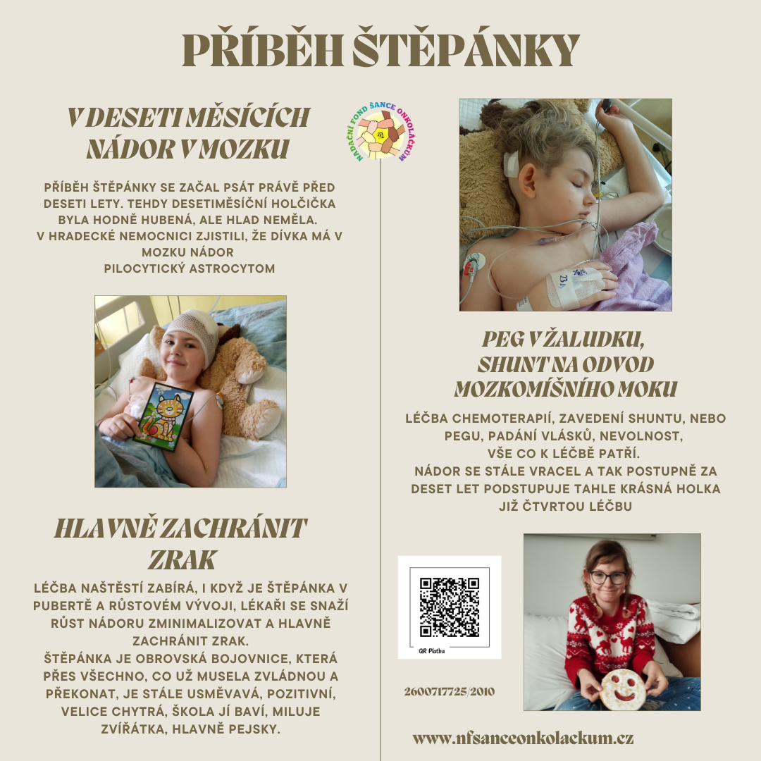 PŘÍBĚH ŠTĚPÁNKY (Příspěvek na Instagramu)